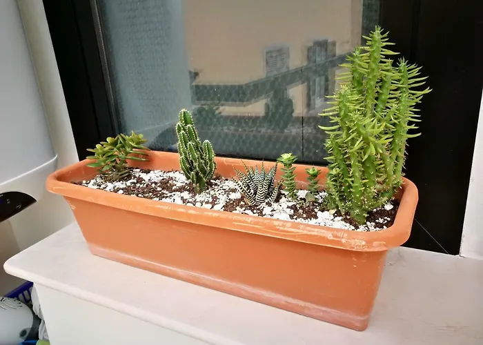 Blue * Пескара