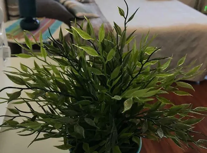 Апартаменты Blue Пескара